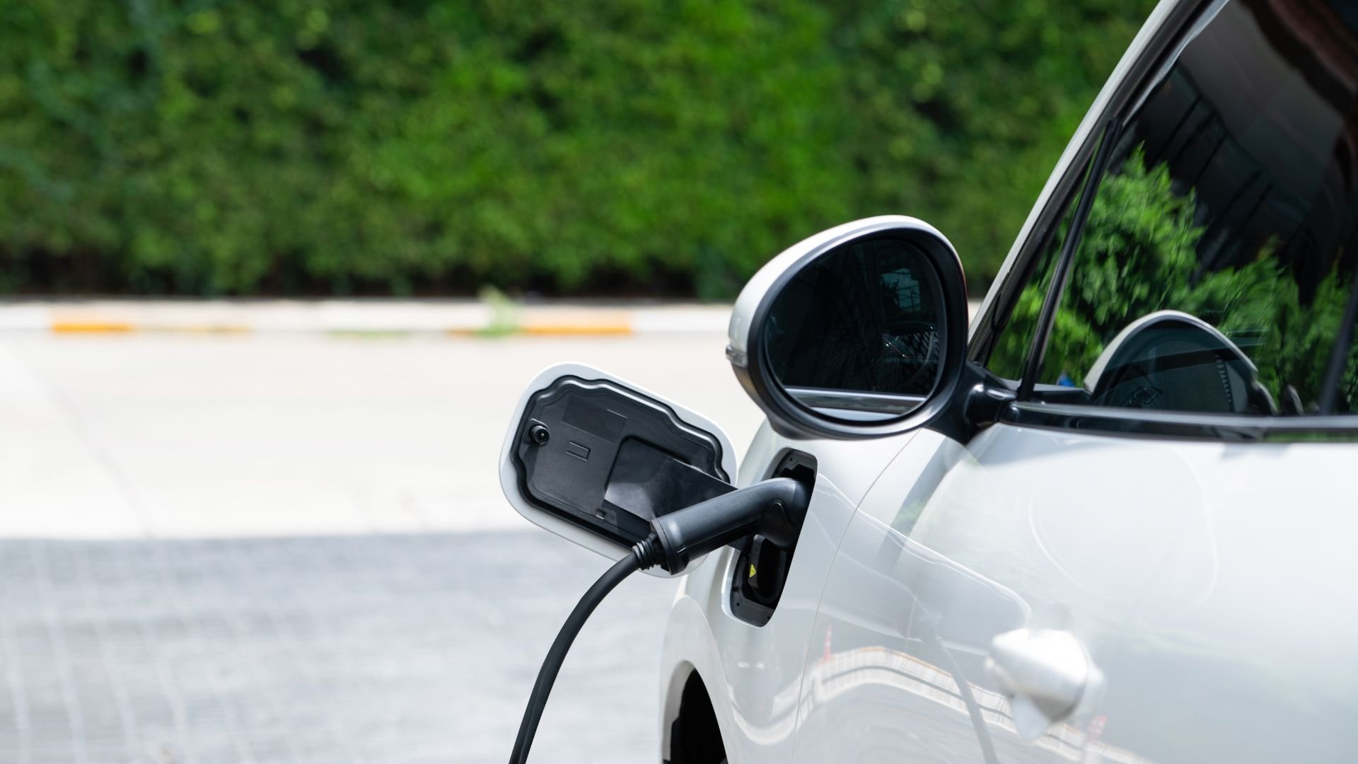 White electric car charging with plug connected at green forest location